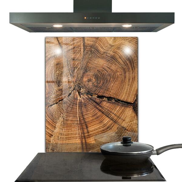 Paneles de vidrio para la cocina Textura del tronco