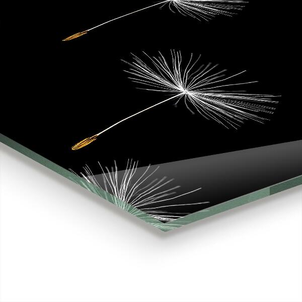 Paneles de vidrio para la cocina Dientes de león en el viento