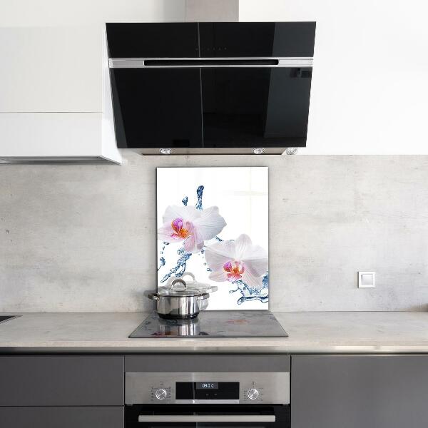Paneles de vidrio para la cocina Orquídea rociada con agua