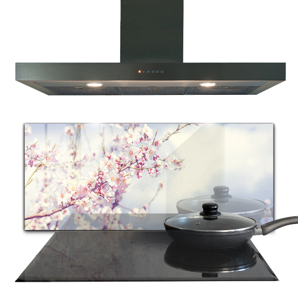 Paneles de vidrio para la cocina Delicadas flores rosadas