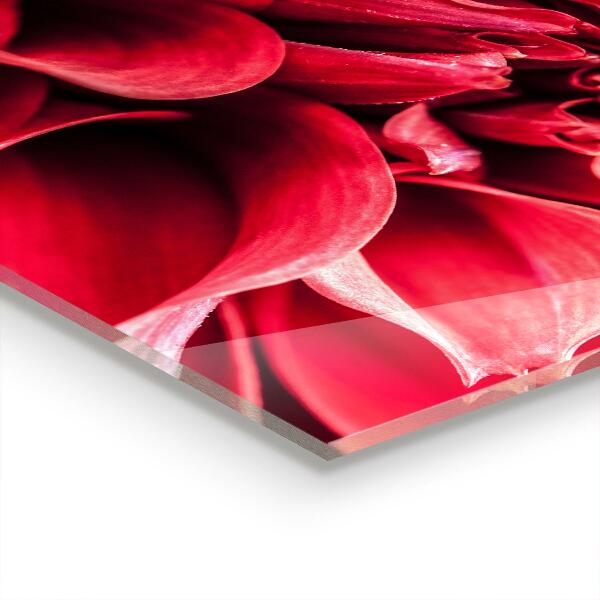 Paneles de vidrio para la cocina El poder floral energético de la naturaleza