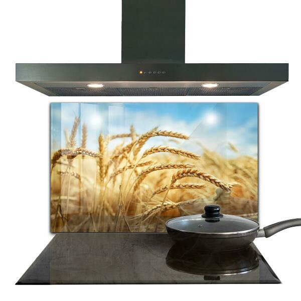 Paneles de vidrio para la cocina Regalos de cereales de la madre naturaleza