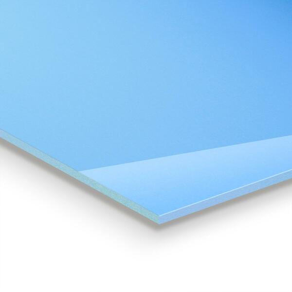 Paneles de vidrio para la cocina Dientes de león delicados