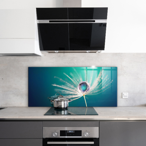 Paneles de vidrio para la cocina Diente de león con una gota de rocío