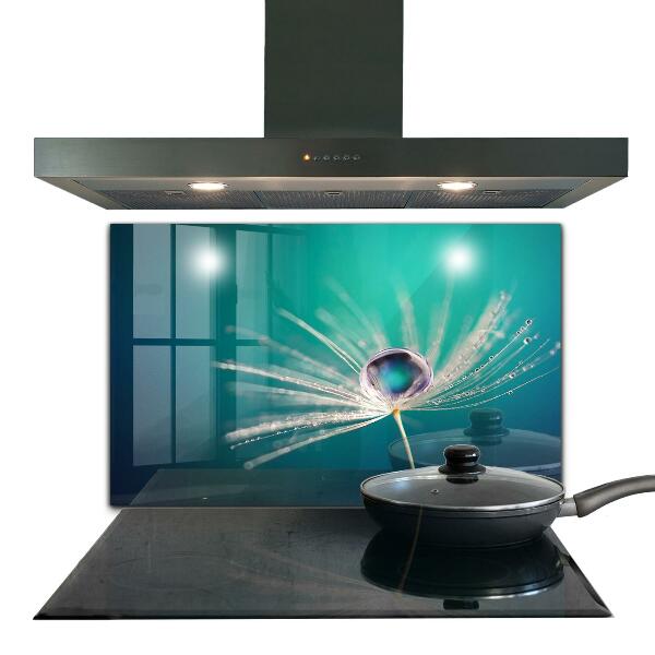 Paneles de vidrio para la cocina Diente de león con una gota de rocío