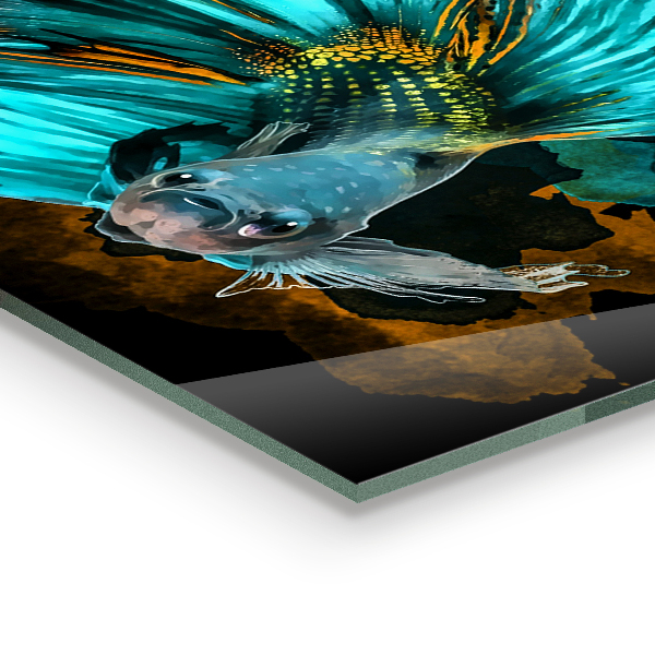 Paneles de pared Peces luchadores tropicales