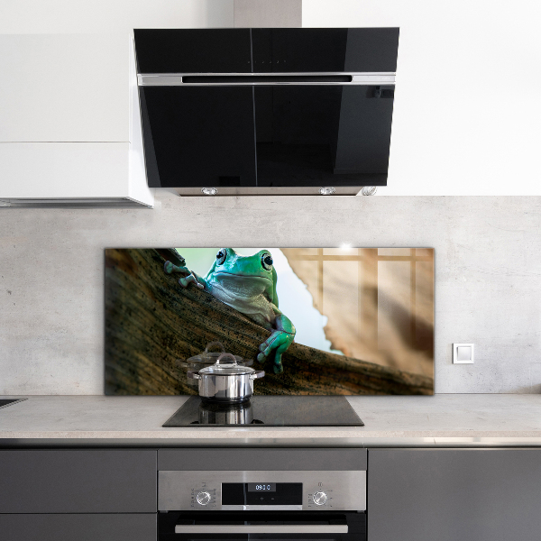 Paneles de pared Retrato de rana africana