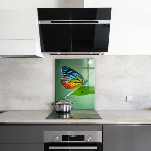 Paneles de pared Mariposa descansando sobre una hoja