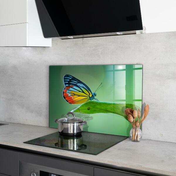 Paneles de pared Mariposa descansando sobre una hoja