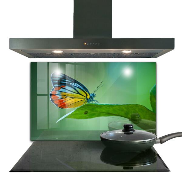 Paneles de pared Mariposa descansando sobre una hoja