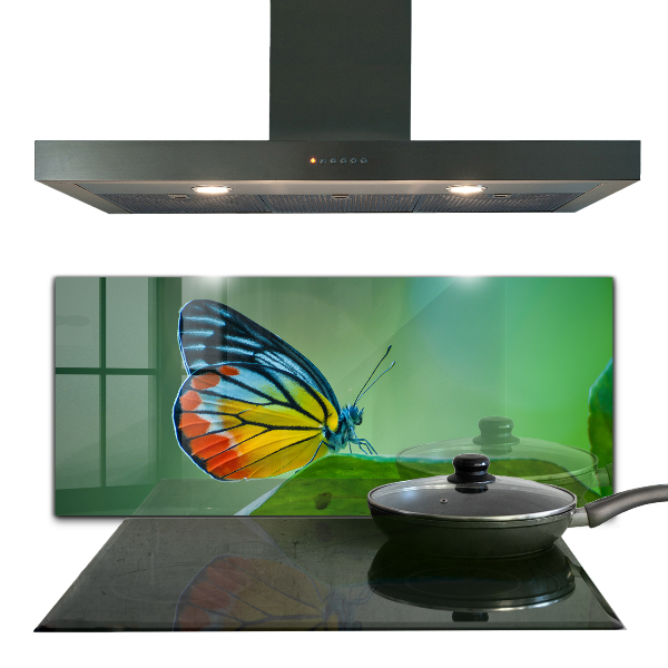 Paneles de pared Mariposa descansando sobre una hoja