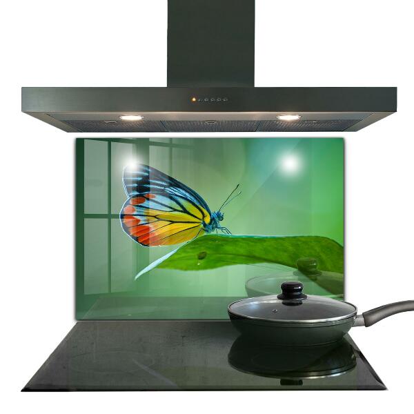 Paneles de pared Mariposa descansando sobre una hoja