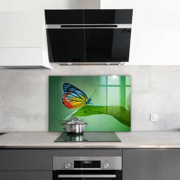 Paneles de pared Mariposa descansando sobre una hoja
