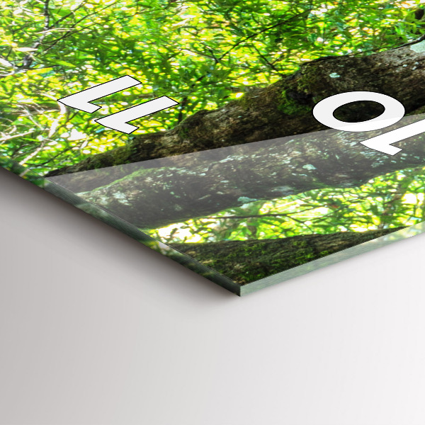 Reloj vertical Cascada en el bosque - espejomat.es