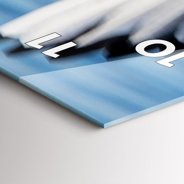 Reloj de cristal vertical Gaviotas en Gdynia - espejomat.es