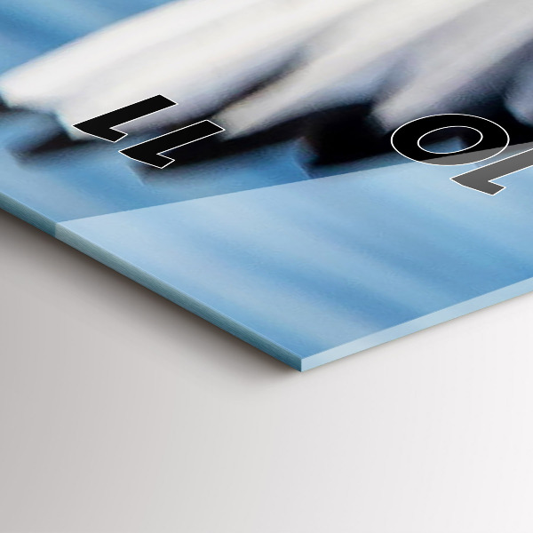 Reloj de cristal vertical Gaviotas en Gdynia - espejomat.es