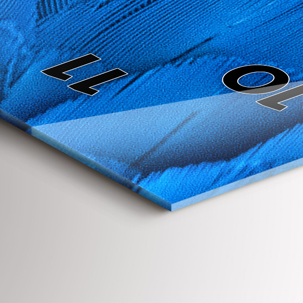 Reloj de vidrio vertical Pluma de ave - espejomat.es