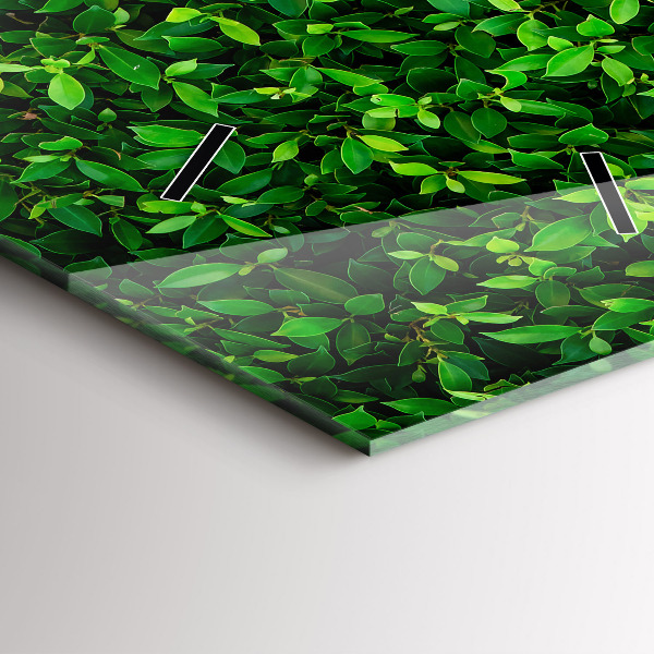 Reloj vertical Hojas de seto - espejomat.es