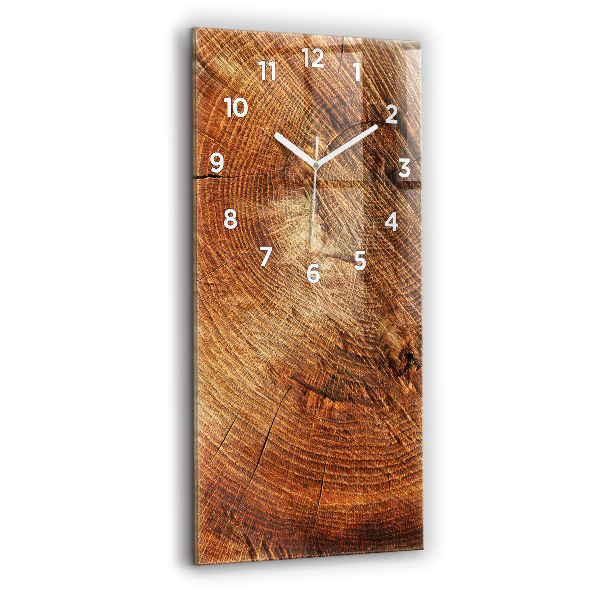 Reloj de vidrio vertical Tronco de árbol viejo - espejomat.es