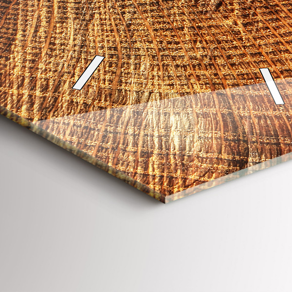 Reloj de vidrio vertical Tronco de árbol viejo - espejomat.es