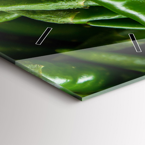 Reloj vertical Pimiento verde - espejomat.es