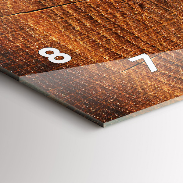 Reloj de cristal horizontal Viejo tronco de árbol