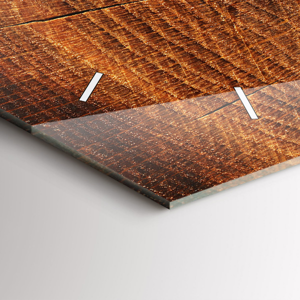 Reloj de cristal horizontal Viejo tronco de árbol