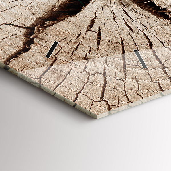 Reloj de cristal horizontal Viejo tronco de madera