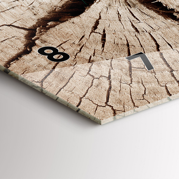 Reloj de cristal horizontal Viejo tronco de madera