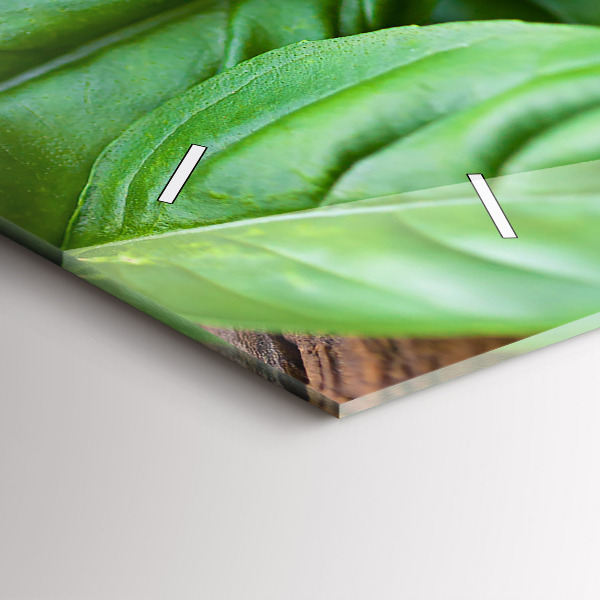 Reloj horizontal Hojas de albahaca