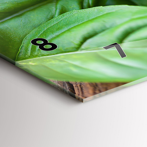 Reloj horizontal Hojas de albahaca