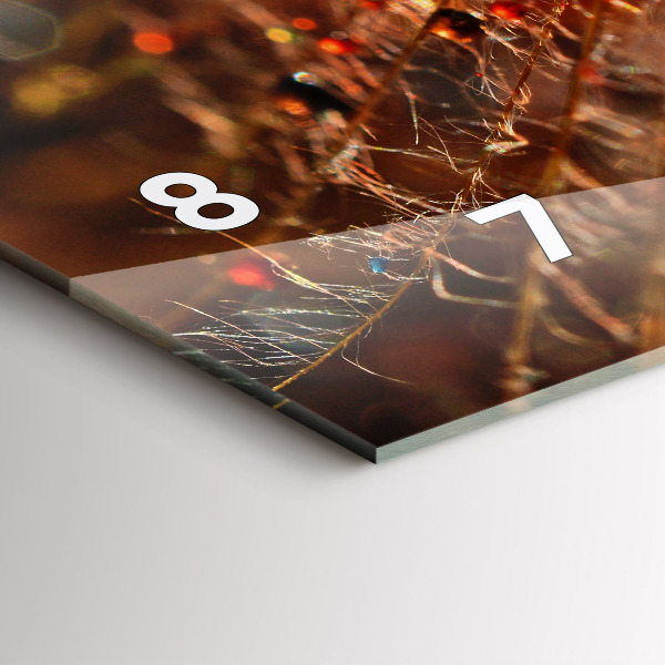 Reloj horizontal Soplador con rocío