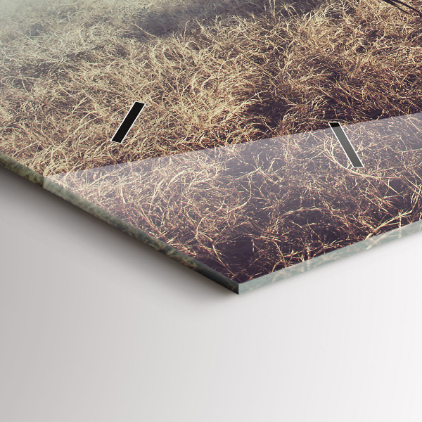 Reloj horizontal Cebra - Abstracción