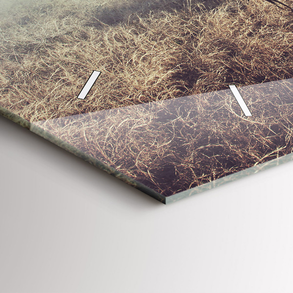 Reloj horizontal Cebra - Abstracción