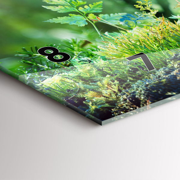 Reloj horizontal Globo terráqueo