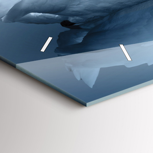 Reloj horizontal Cisnes en el corazón