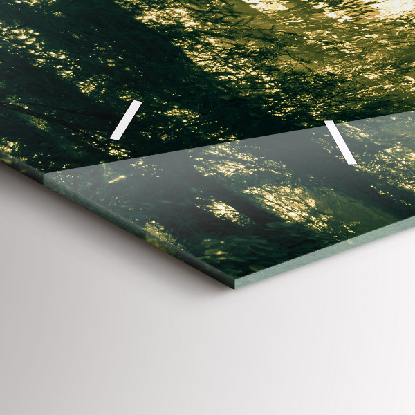 Reloj horizontal Bosque de rayos de sol