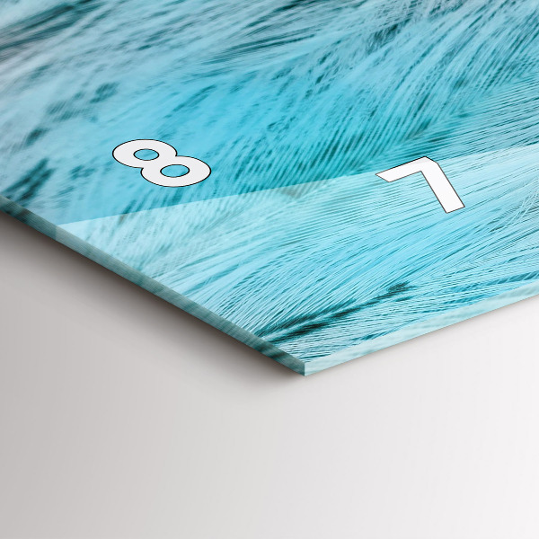 Reloj horizontal Plumas de colores