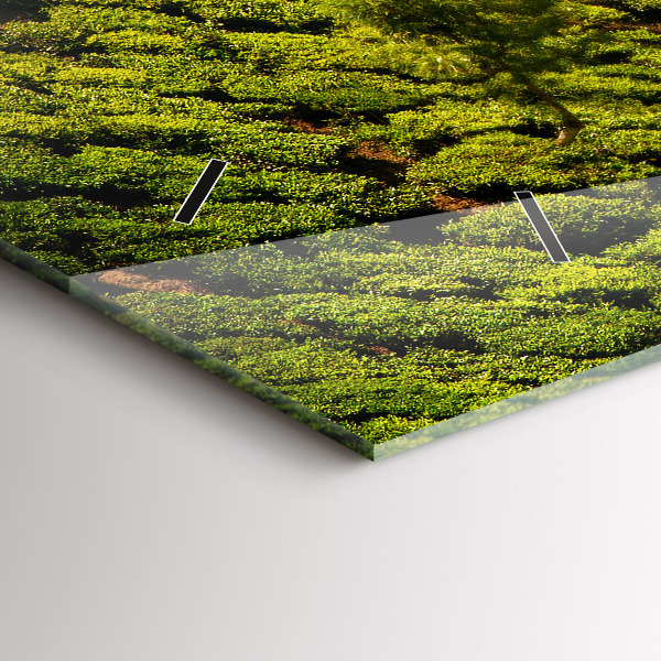 Reloj horizontal Colina del té