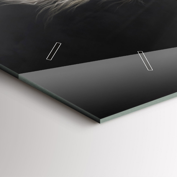 Reloj horizontal Caballo al galope