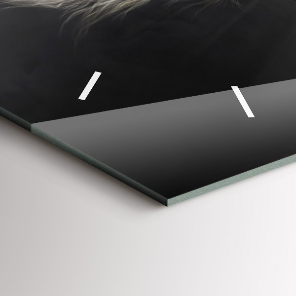 Reloj horizontal Caballo al galope