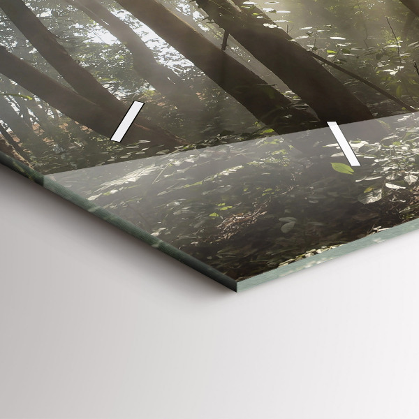 Reloj horizontal Elefante en la jungla