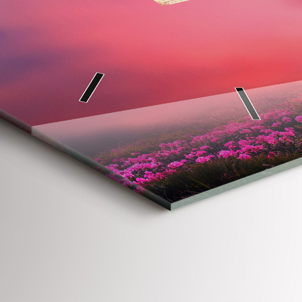 Reloj de cristal horizontal Pajarera