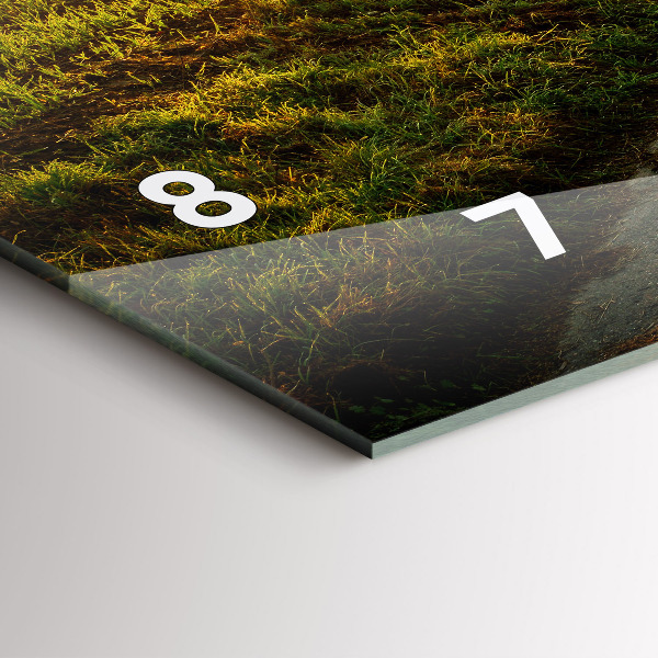 Reloj horizontal Niebla al amanecer