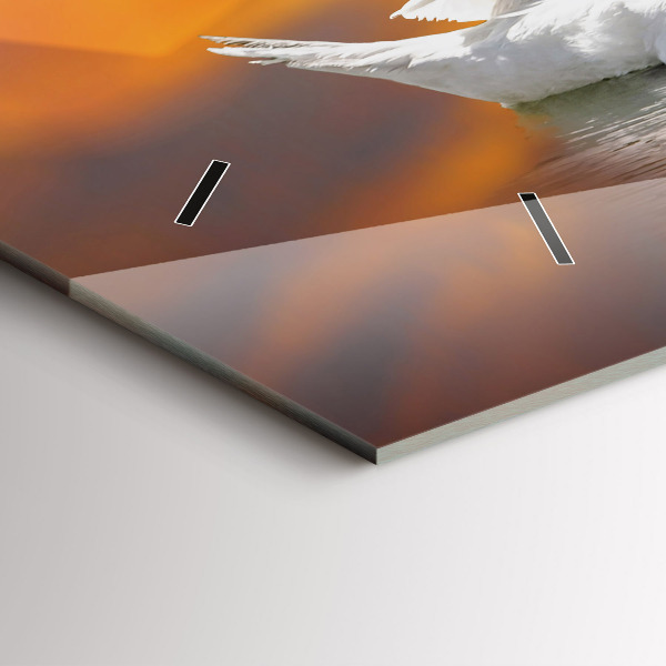 Reloj horizontal Cisnes enamorados