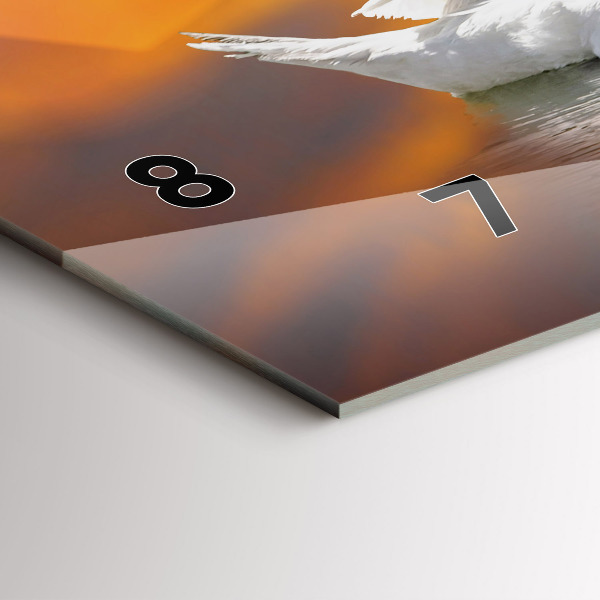 Reloj horizontal Cisnes enamorados