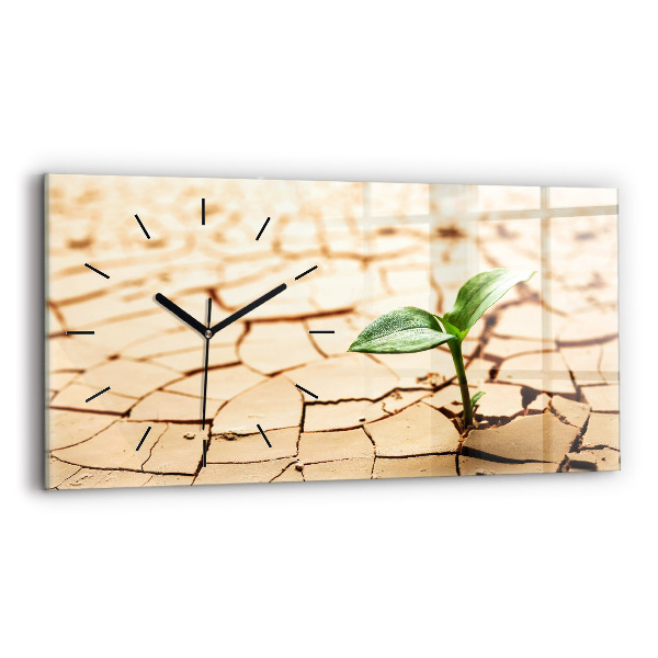 Reloj de cristal horizontal Planta en tierra seca