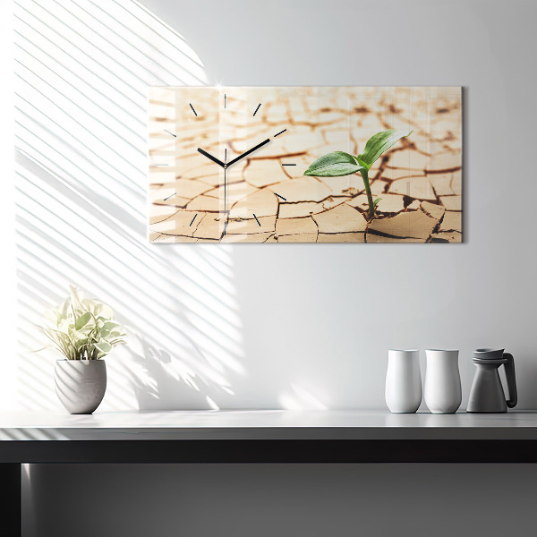 Reloj de cristal horizontal Planta en tierra seca