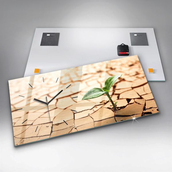 Reloj de cristal horizontal Planta en tierra seca