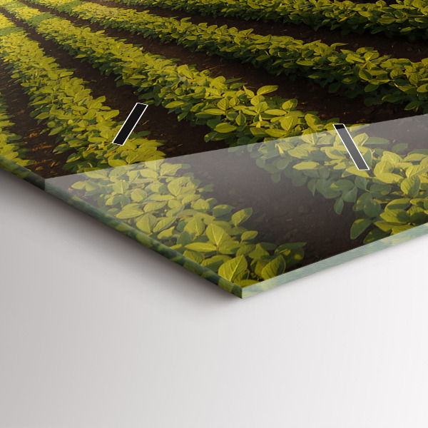 Reloj de cristal horizontal Tractor fumigando un campo